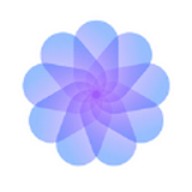 红楼app视频直播