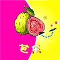 榴莲草莓丝瓜向日葵黄瓜免费最新版